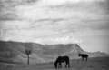 1936 Baraibar Aralar (Aranzadi)